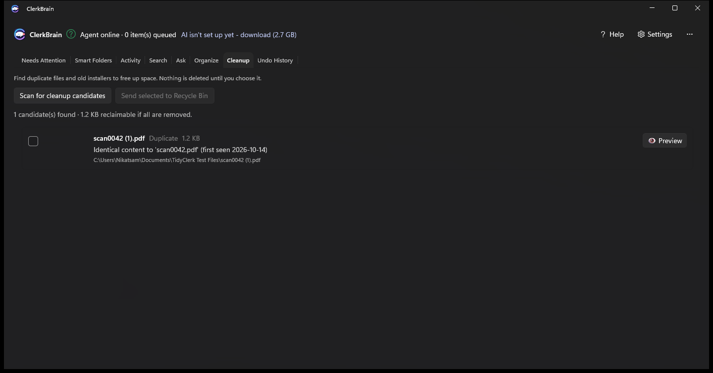 ClerkBrain's Cleanup tab showing a duplicate file found and ready to send to the Recycle Bin